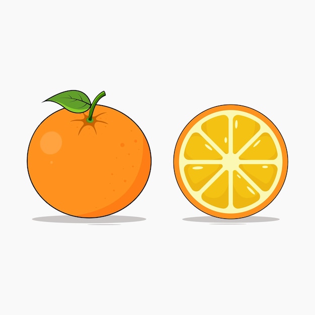 Orange fruit vector illustration