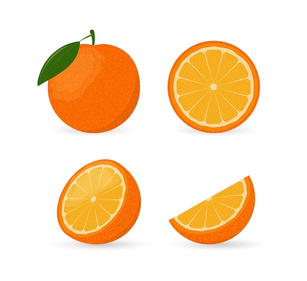 Orange fruit whole half wedge and slice set