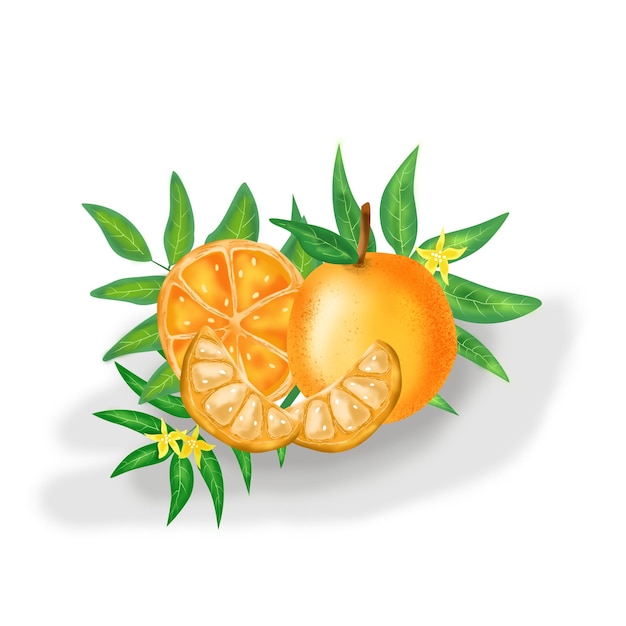 Orange fruit