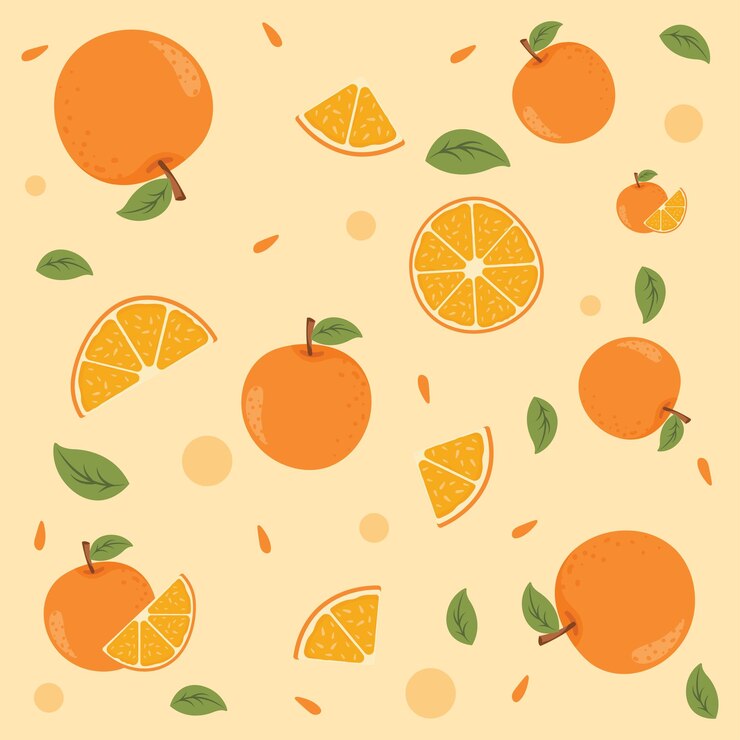 Vector オレンジの果実