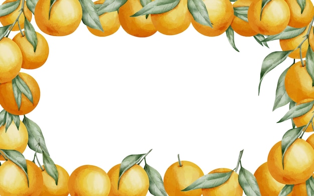 Vector orange fruits rectangular frame hand drawn watercolor illustration of border with citrus branches on white isolated background drawing with tangerines and clementine for food label or cards design
