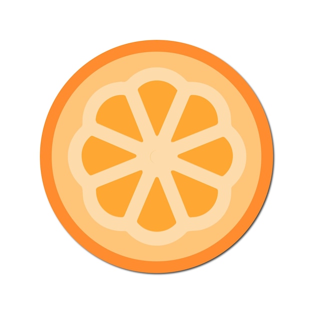 Vector orange frurit vector