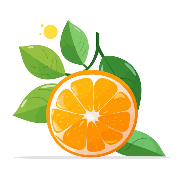 Orange icon vector illustration