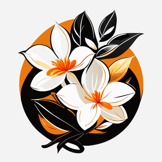 Orange jasmine flower beautiful cartoon style white background