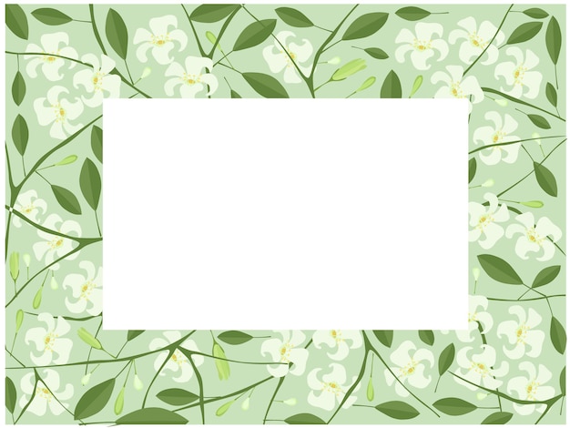 Vector orange jasmine or mock orange flowers frame