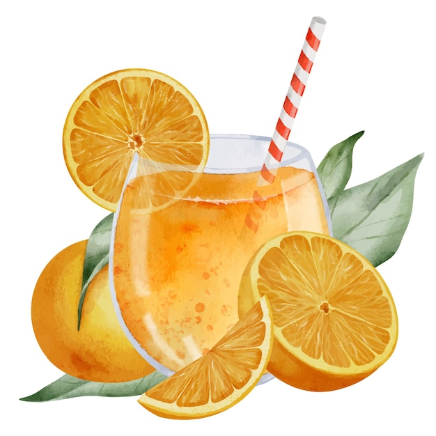 トロピカルフルーツと葉のオレンジジュース - 白い背景にタンダリンの飲み物が描かれたガラスの手描きの水彩画 - マンダリンのスライスで柑橘類のカクテルを描いた絵