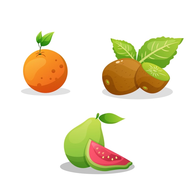 Vettore orange kiwi guava illustrazione vettoriale design colorato