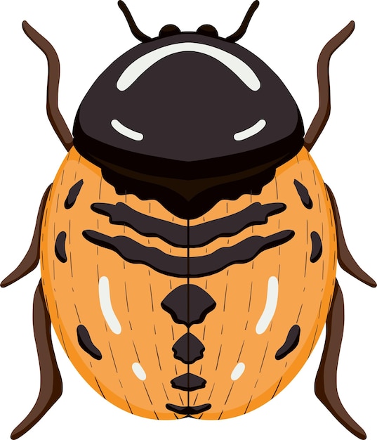 Vector orange ladybug illustration