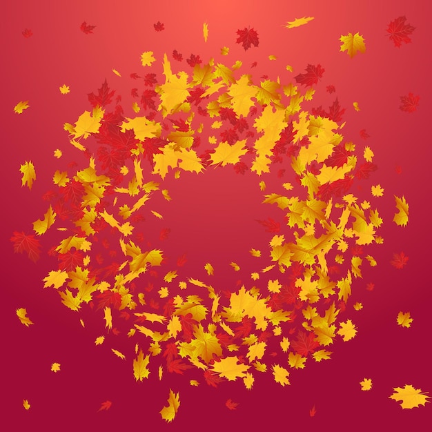 Vector orange leaves vector red background october leaf