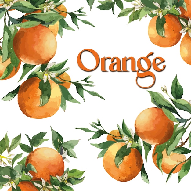 Vector orange motif