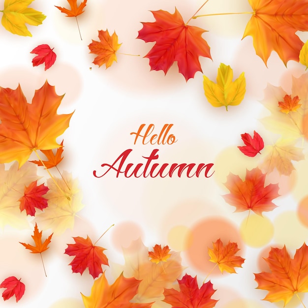 Orange natura hellol autumn card vector illustration