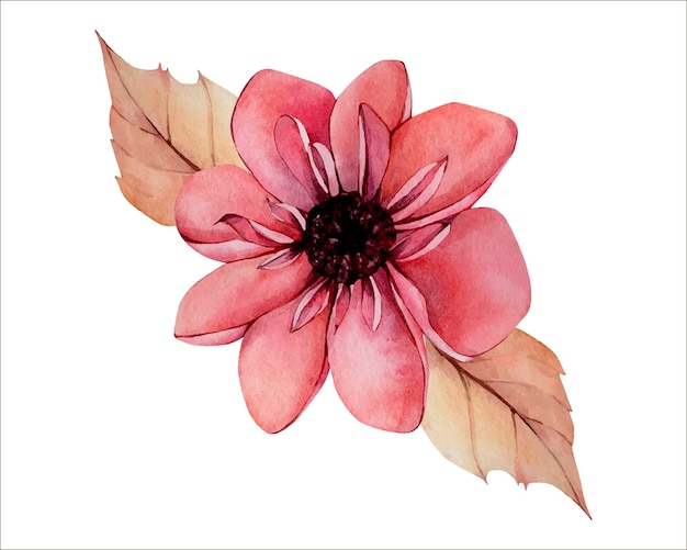 Vector orange pink autumn watercolor dahlia flower illustration isolated on white background. fall floral