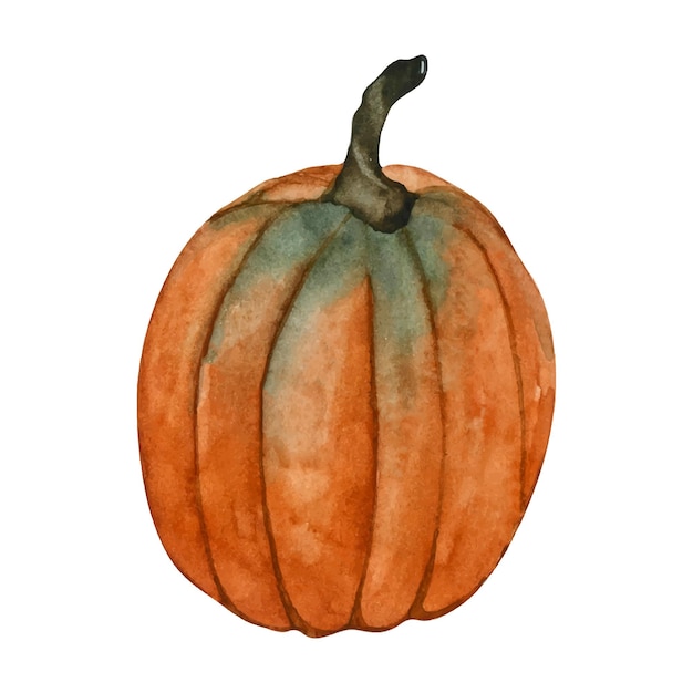 Orange pumpkin autumn watercolor