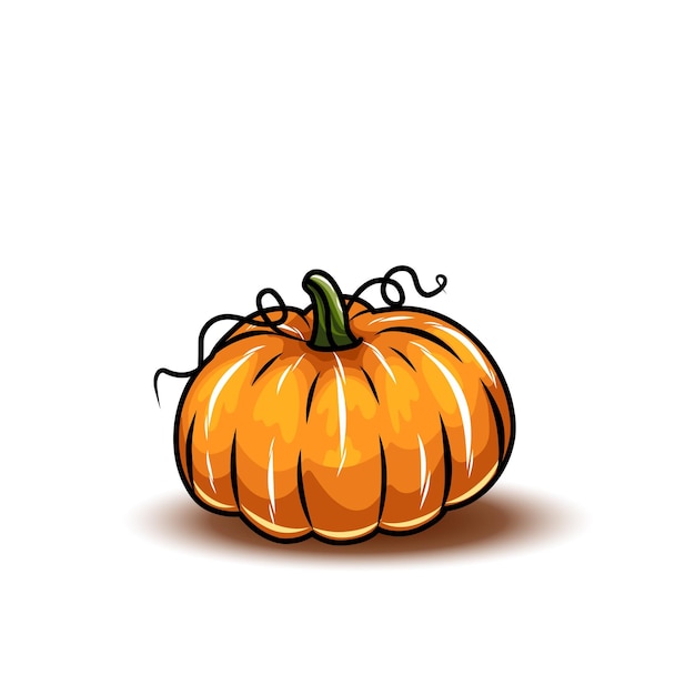 オレンジ色のカボチャ さまざまな種類の漫画のカボチャ ハロウィーン秋収穫ひょうたん カボチャ スカッシュと葉のベクトル シンボル イラスト 秋の感謝祭とハロウィーンのカボチャ