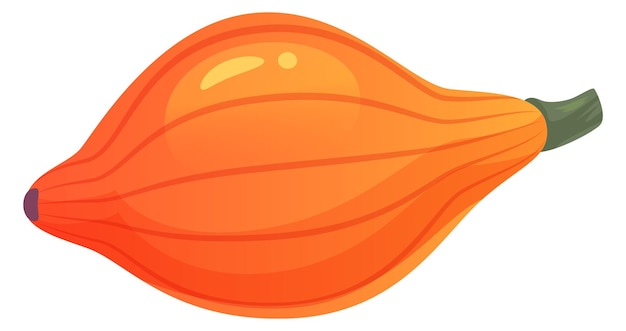 오렌지 호박 신선한가 야채 맛 있는 스쿼시 흰색 배경에 고립