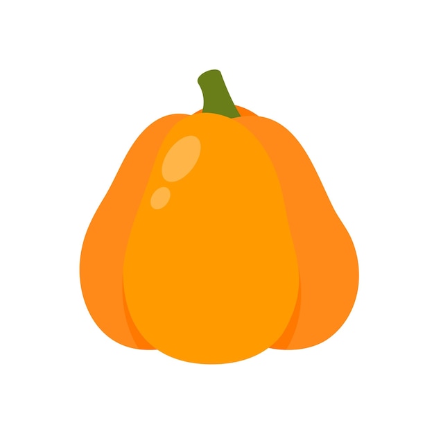 Orange pumpkin is a high energy vegetable for cooking