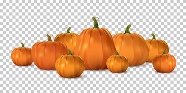 Vector orange pumpkin set, isolated traditional realistic food.