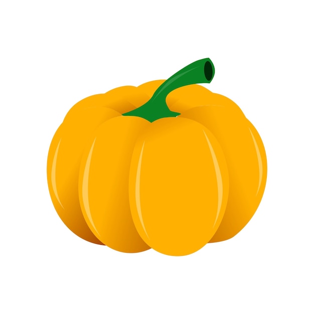 Vector orange pumpkin vector illustration