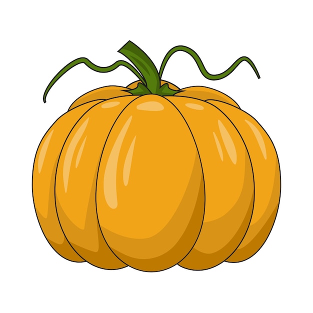 Orange pumpkin vegetables cartoon drawing simple design vector image