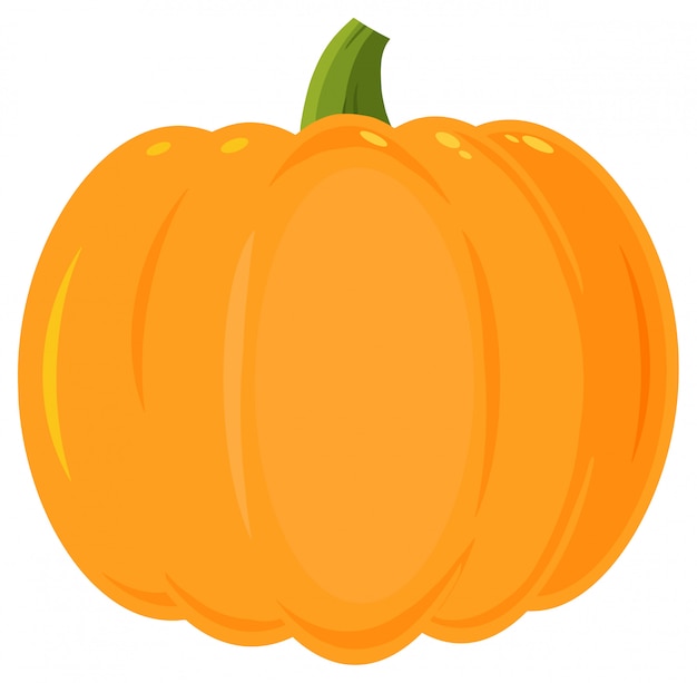 Vector orange pumpkin vegetables cartoon flat simple design