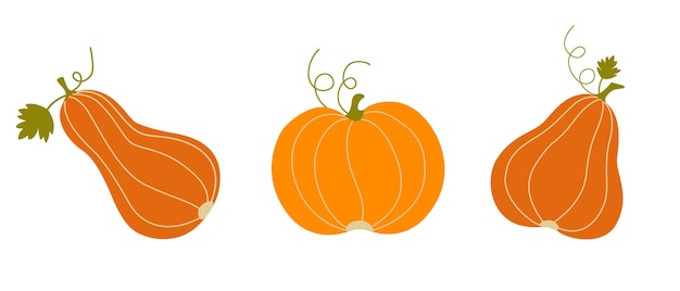 Orange pumpkins of various shapes