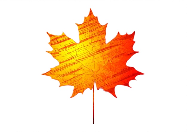 orange red grunge maple leaf abstract background