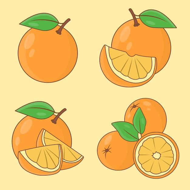 Orange set bundle isolated on soft yellow background Vector illustration