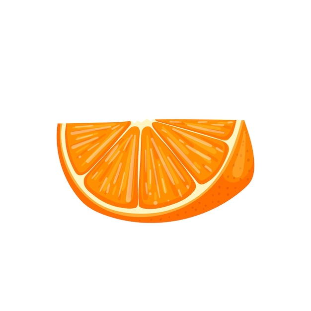 Orange slice cartoon vector illustration