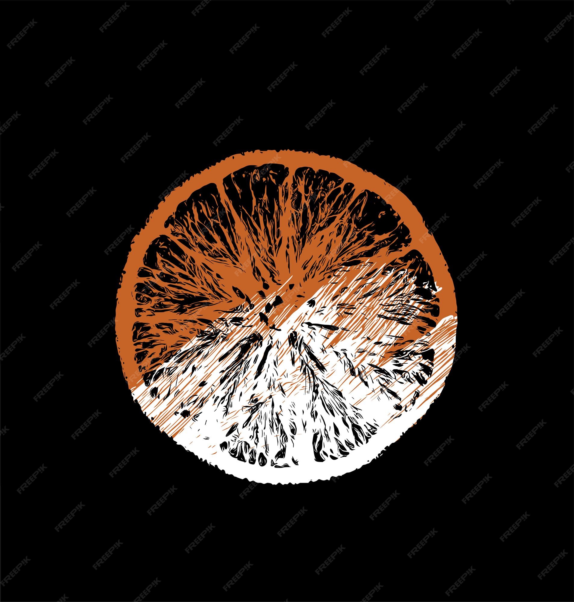Premium Vector | Orange slice conceptual artwork