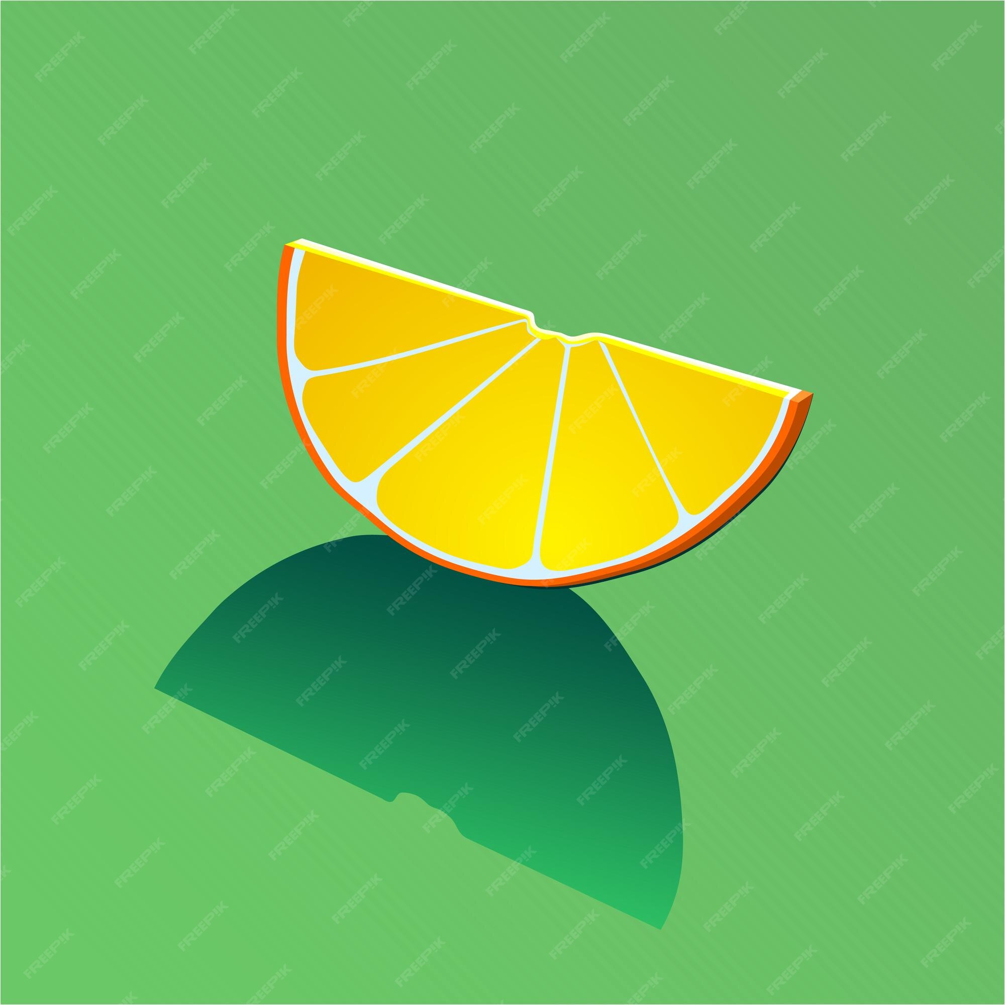 Premium Vector | Orange slice
