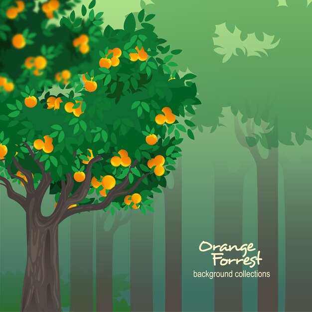 Vector orange tree forrest