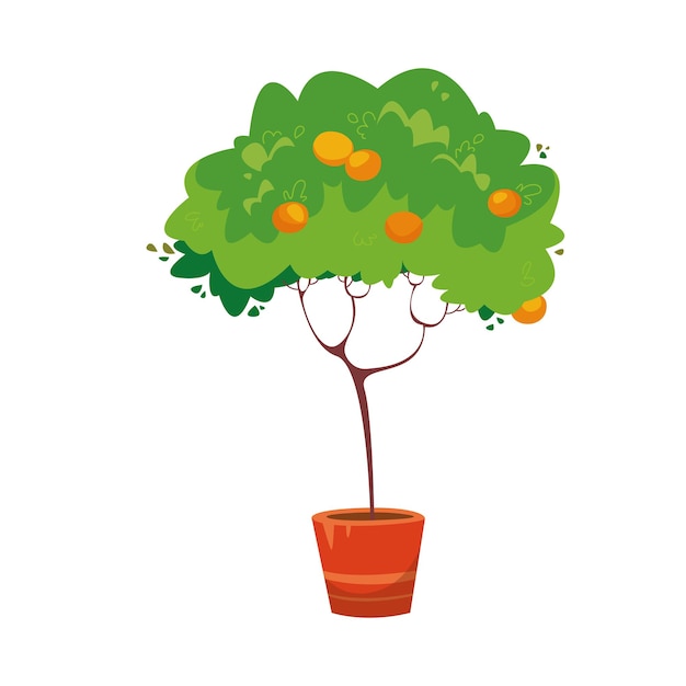 Orange tree in a pot vector illustration in cartoon style isolated clipart