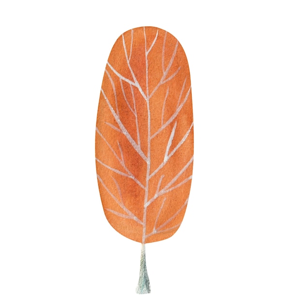 Vector orange tree watercolor element