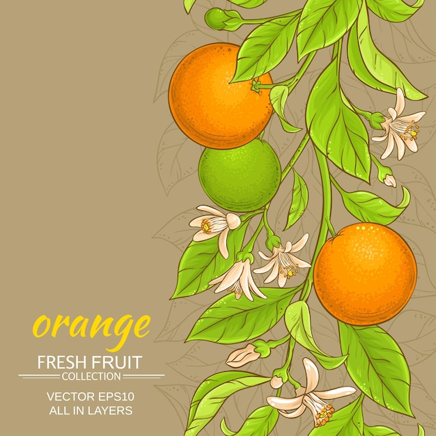 Vettore orange vector background