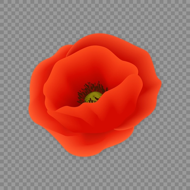 Orange vector flower realistic on white background