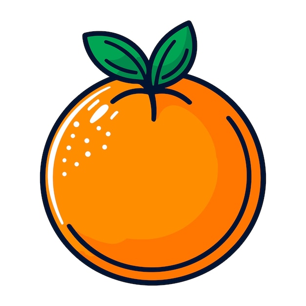 Orange vector illustration