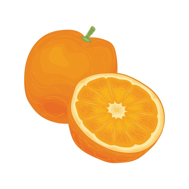 오렌지 비타민 벡터 채식 과일 주스 만화 귀여운 요소 여름 시즌 맛 만다린 예술