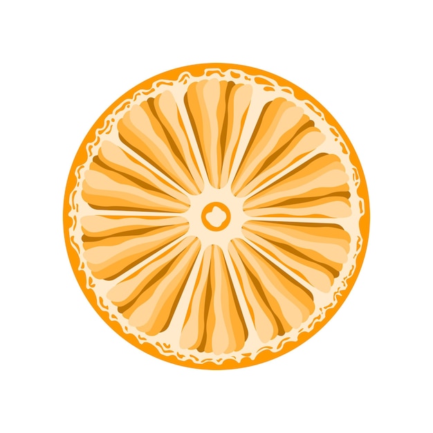 Vettore arancione su sfondo bianco, illustrazione vettoriale