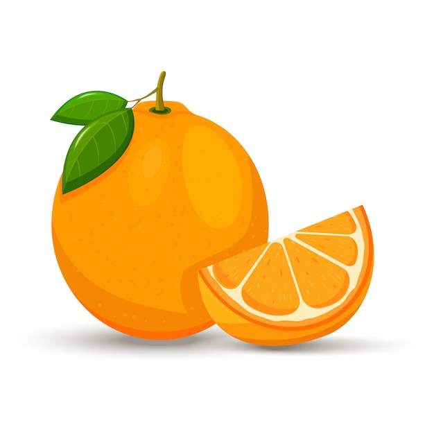 Orange whole and slices of oranges. vector illustration of oranges. flat design