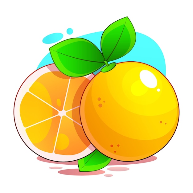 Vector orange whole and slices of oranges vector illustration of oranges fully editable handmade