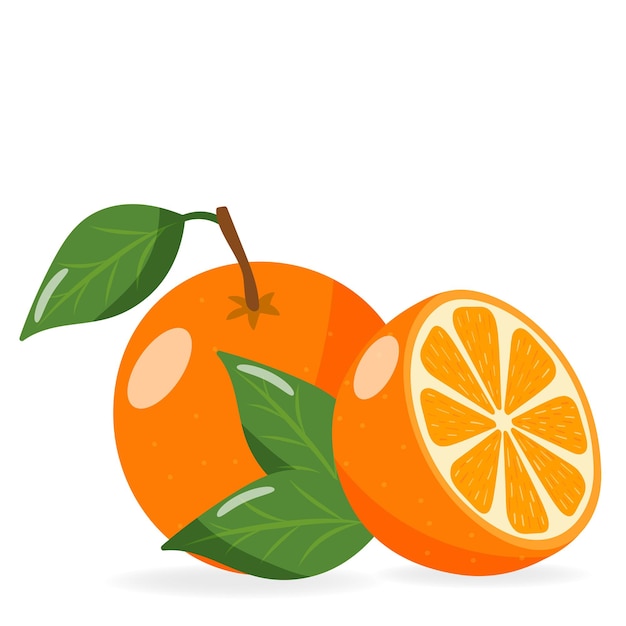 orange with half and leaves vector