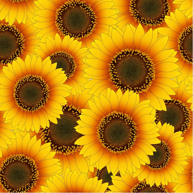 Orange yellow sunflower seamless background