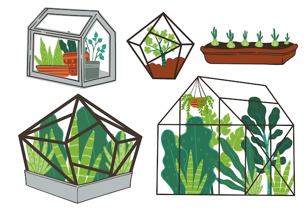 Orangery full of flowers and tropical plants, foliage and growth of exotic decorative leafage. Flora in greenhouse, agriculture or seasonal vegetation on farm. Organic garden. Vector in flat style