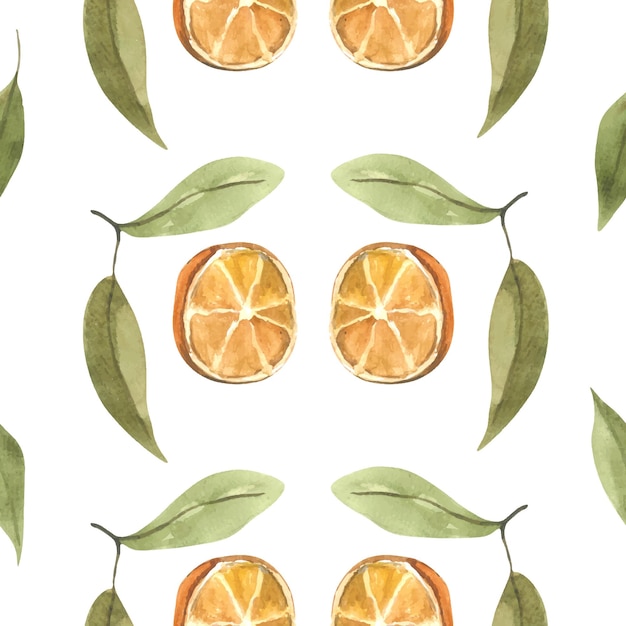 Oranges pattern watercolor seamless drawing