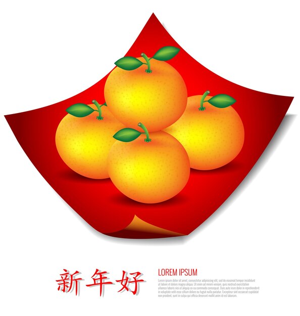 Vector oranges on red cloth for chinese new year card chinese wording translation is happy new year