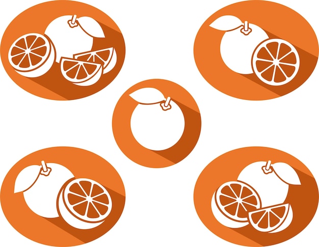 Oranges set Vector
