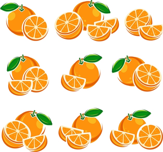 Oranges set Vector