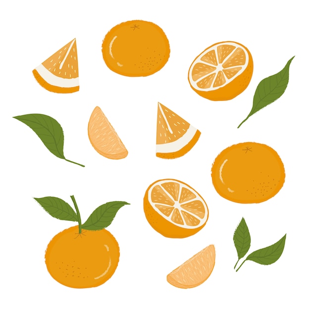 오렌지, 오렌지 슬라이스, 오렌지 잎, 오렌지 고기, 오렌지 세트