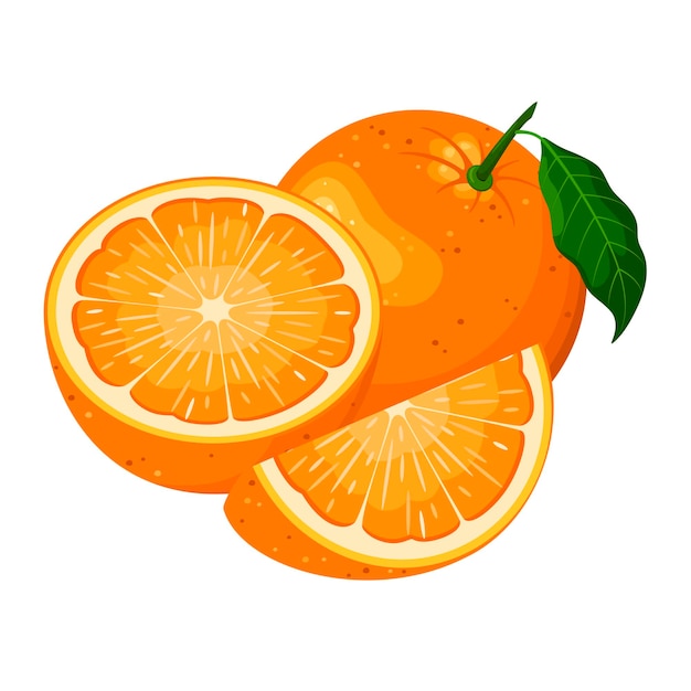 Oranges on a white background Ripe fruit Cartoon design