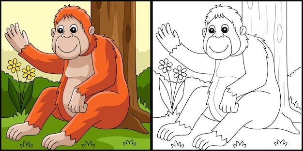 Illustrazione della pagina di colorazione degli animali dell'orangutan